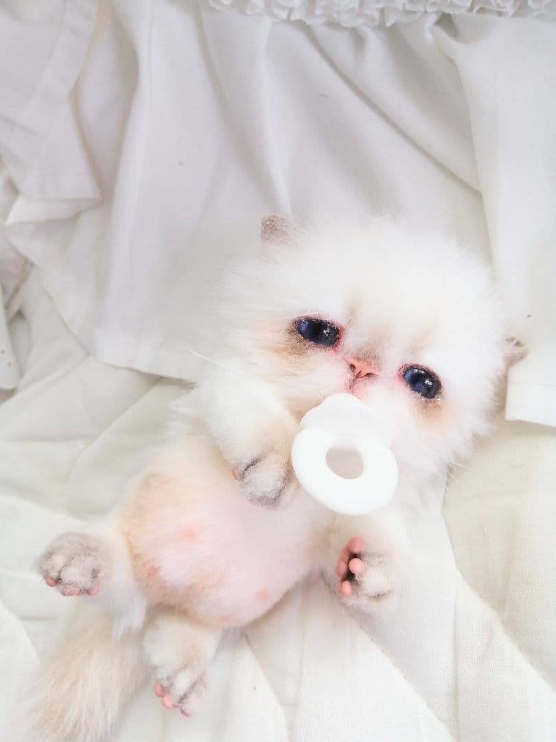 Milky様❤️オーダー♡子猫ぽっぷちゃん♡おしゃぶり♡アートドール♡ぬいぐるみ