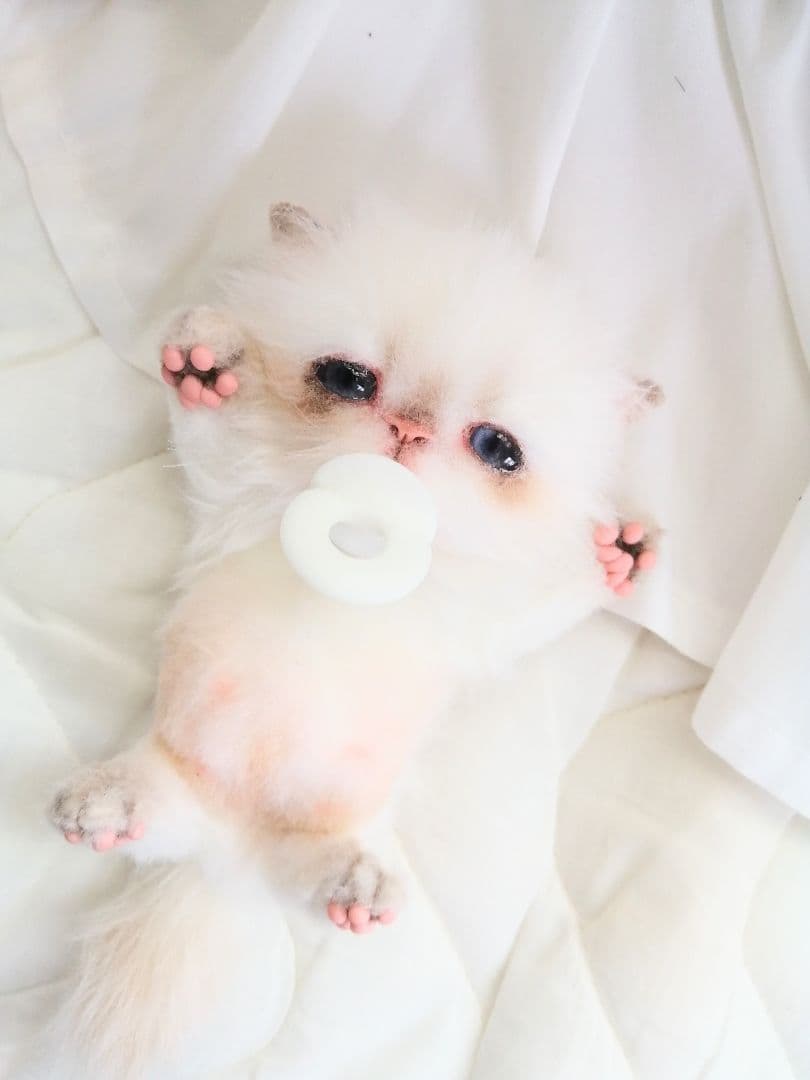 Milky様❤️オーダー♡子猫ぽっぷちゃん♡おしゃぶり♡アートドール♡ぬいぐるみ