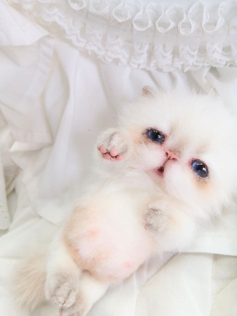 Milky様❤️オーダー♡子猫ぽっぷちゃん♡おしゃぶり♡アートドール♡ぬいぐるみ