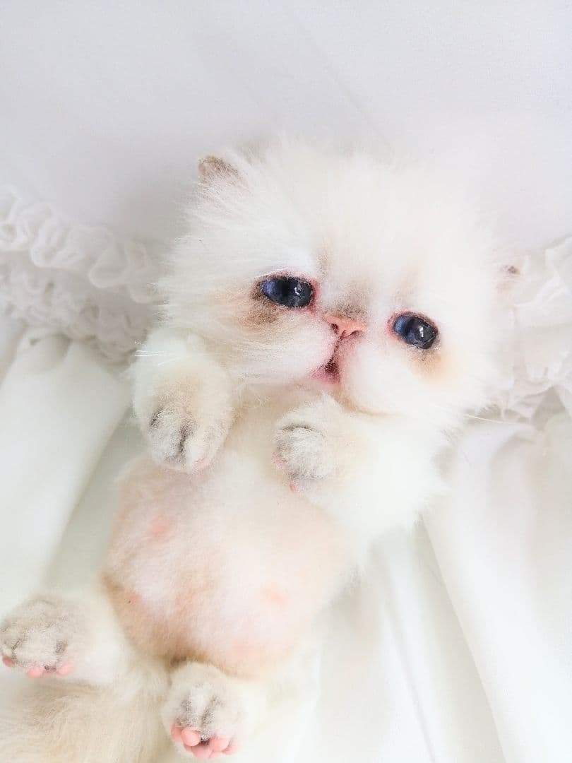 Milky様❤️オーダー♡子猫ぽっぷちゃん♡おしゃぶり♡アートドール♡ぬいぐるみ