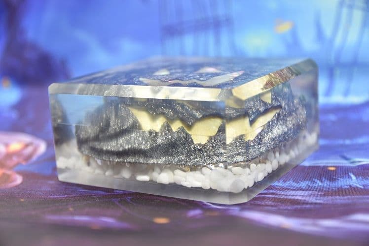 ハロウィン Jack-o'-lantern Abalone DA-11BL