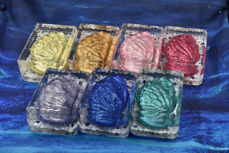 ハロウィン Jack-o'-lantern Abalone DA-11BL