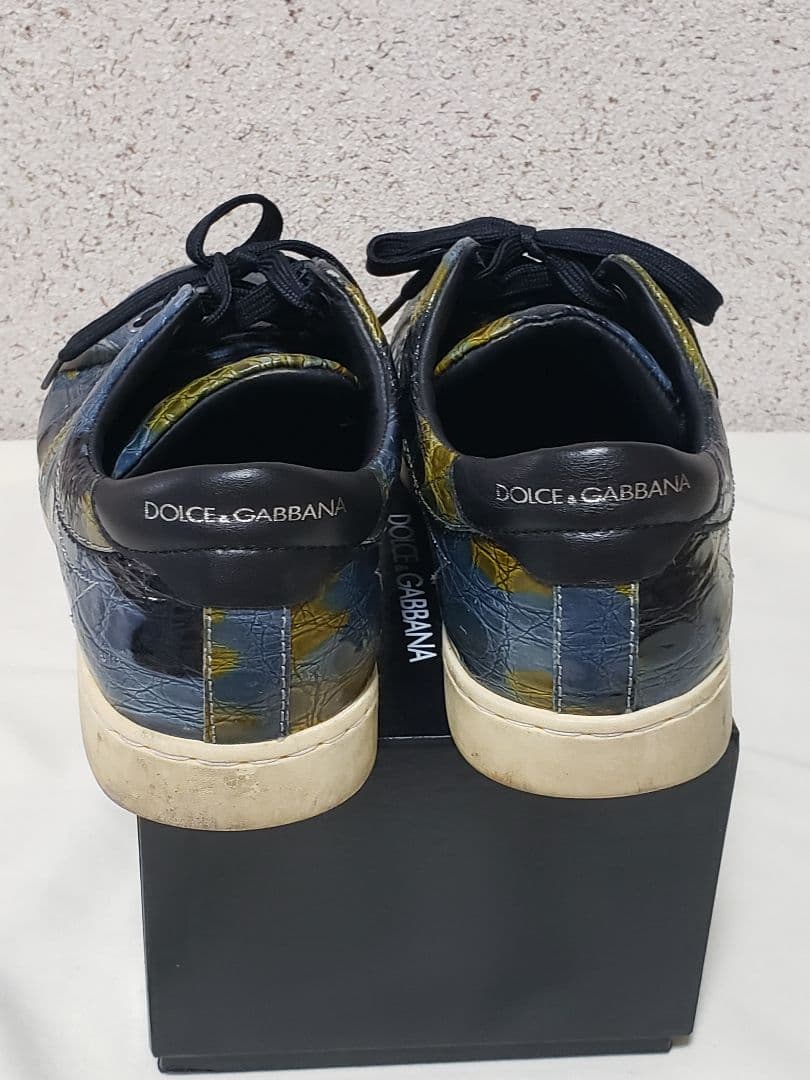 招き猫様Dolce & Gabbana カイマンスニーカー