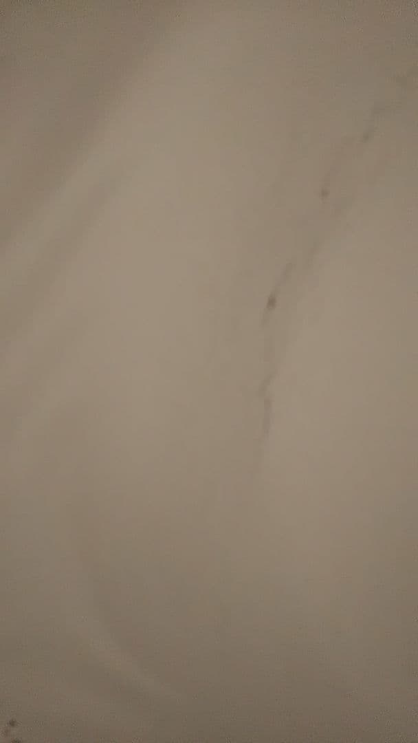 日立衣類乾燥機 2014年製 DE-N45FX