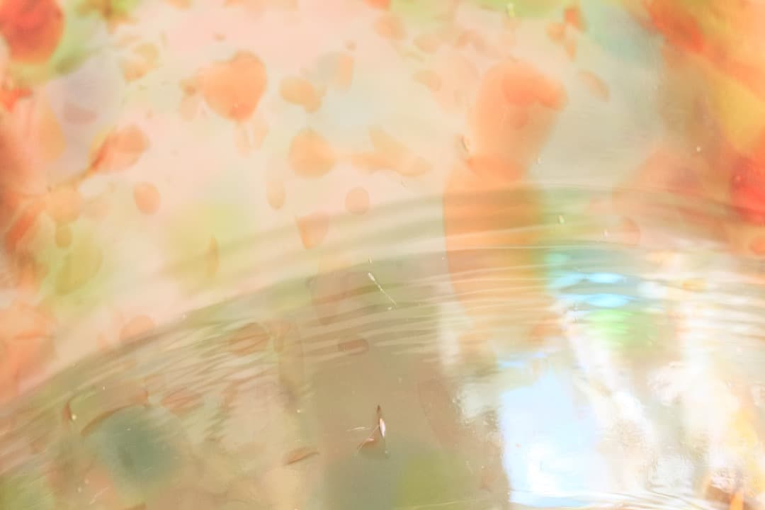 5521 Atolli ボウル　ヌータヤルヴィ　ガラス　Oiva Toikka