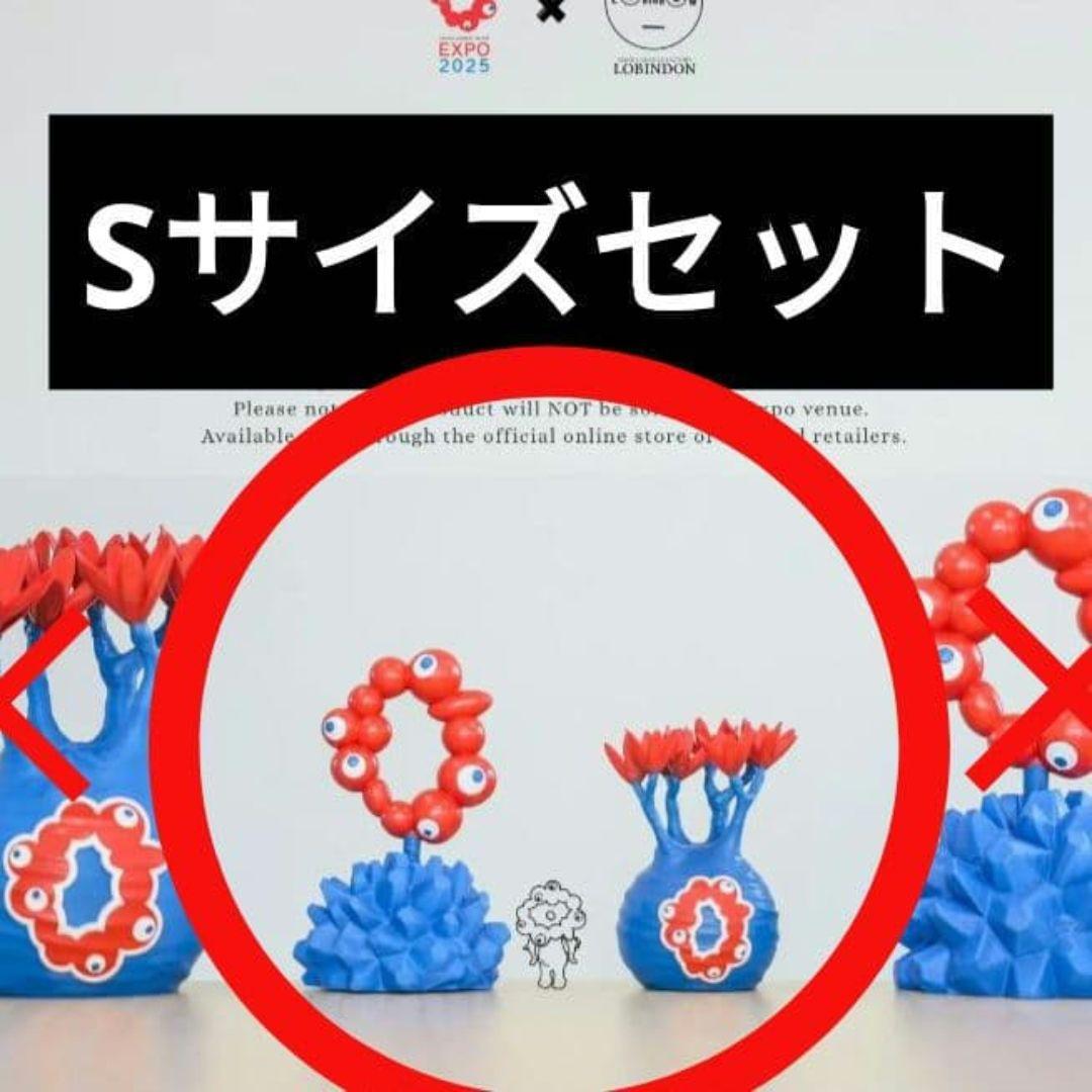 Sサイズ LOBINDON ロビンドン ミャクミャク グラキリス 亀甲竜 塊根