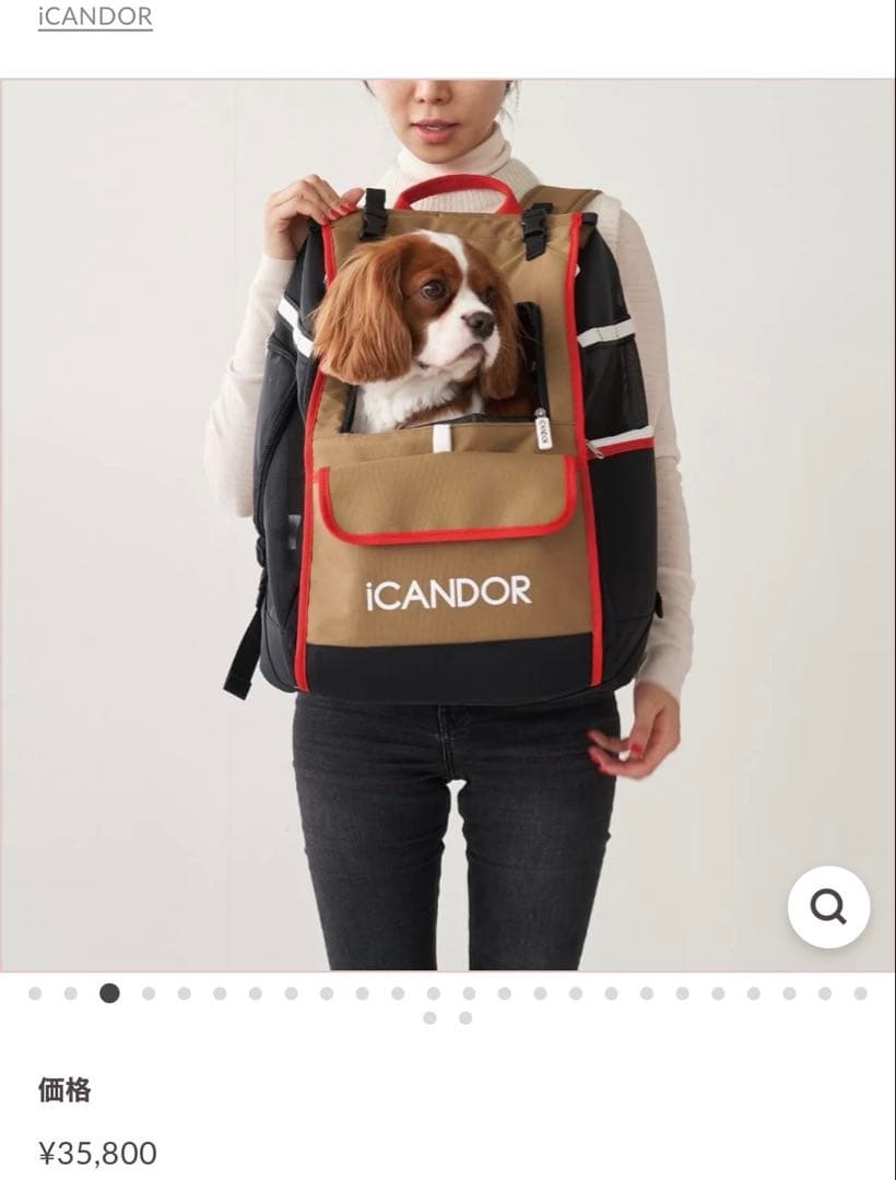 ICANDOR キャリーバッグ キャリーリュック