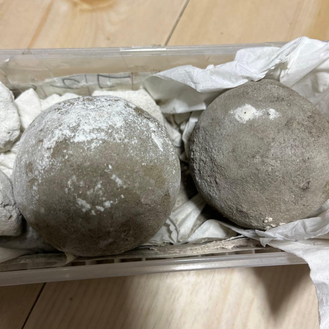 愛の籠った泥団子