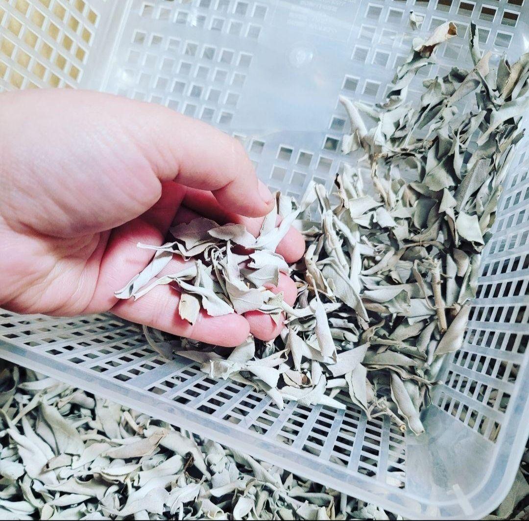 まるページ☆無農薬ホワイトセージ枝無しリーフ2KG業務用価額浄化お香