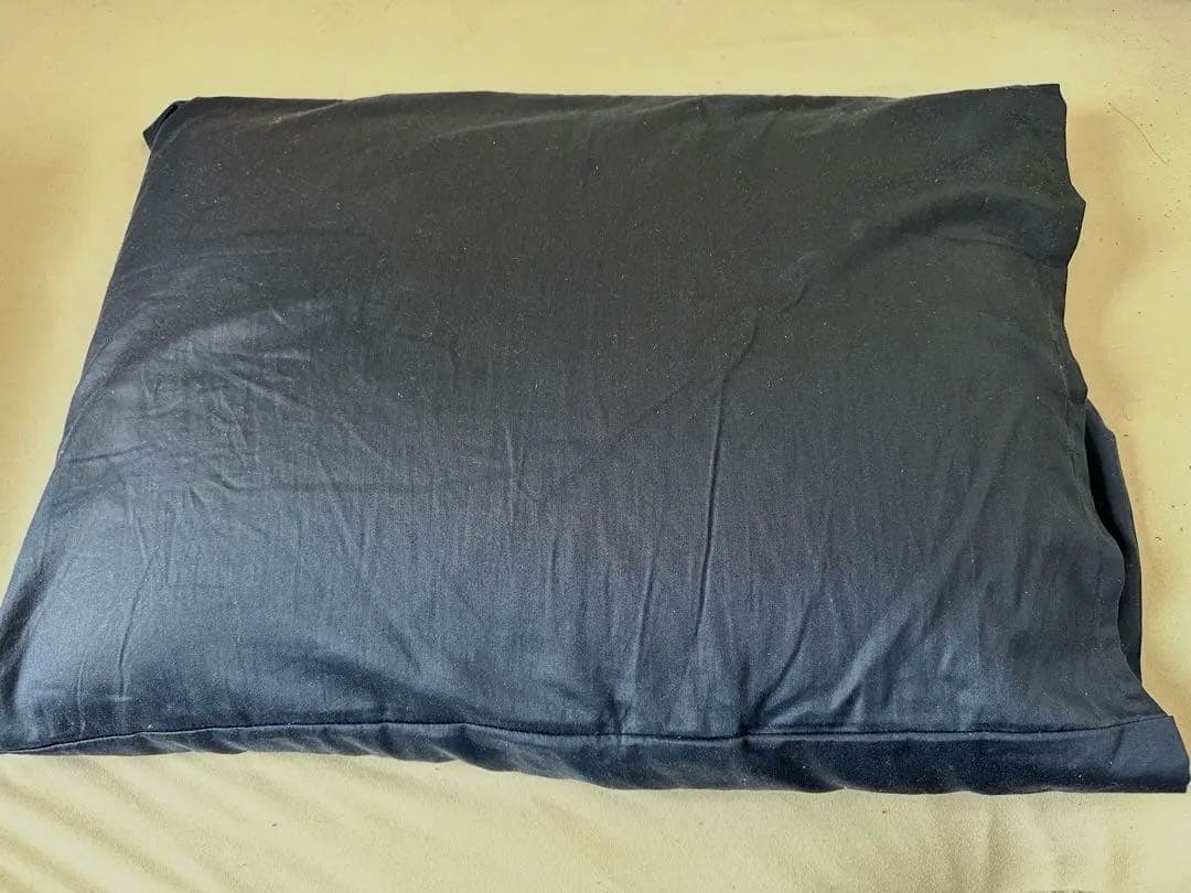 枕 ピロー　紺色カバー付　レガリアで購入