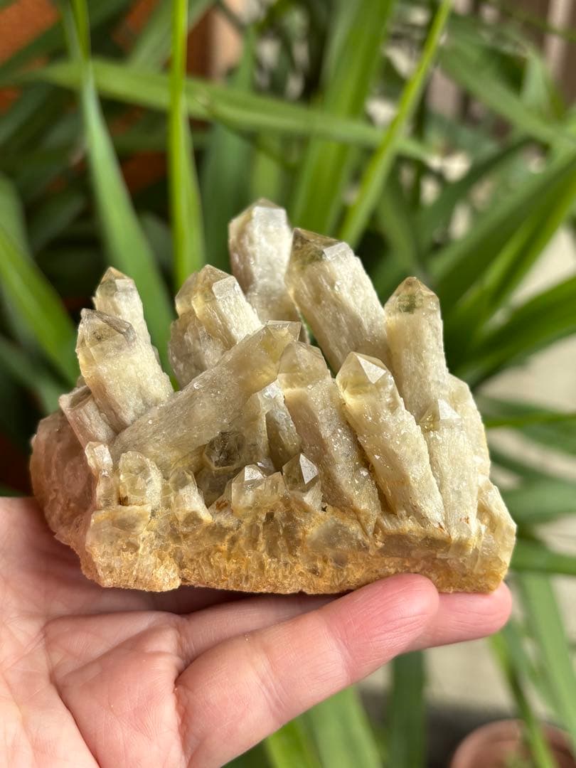 天然シトリン　キャンドルクォーツ　クラスター　367g かわいい　自立します