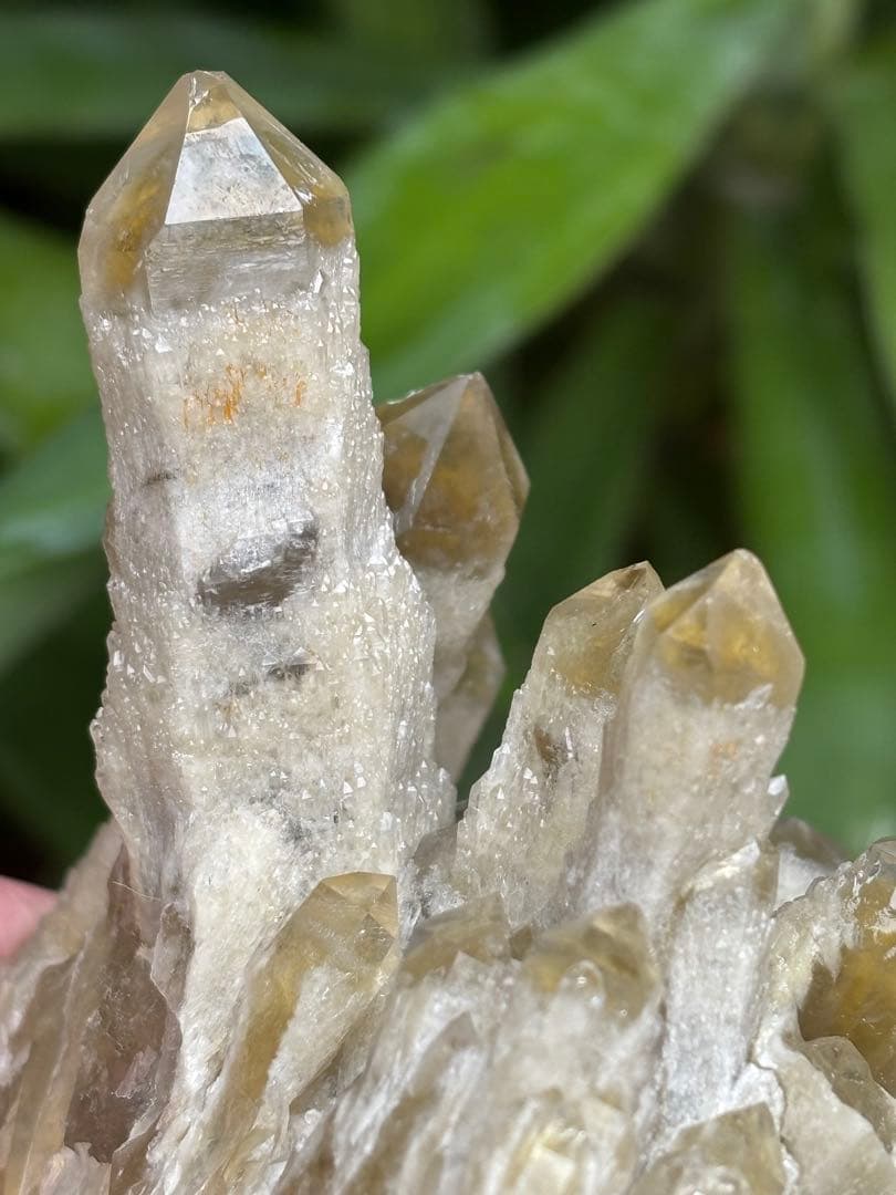 天然シトリン　キャンドルクォーツ　クラスター　367g かわいい　自立します