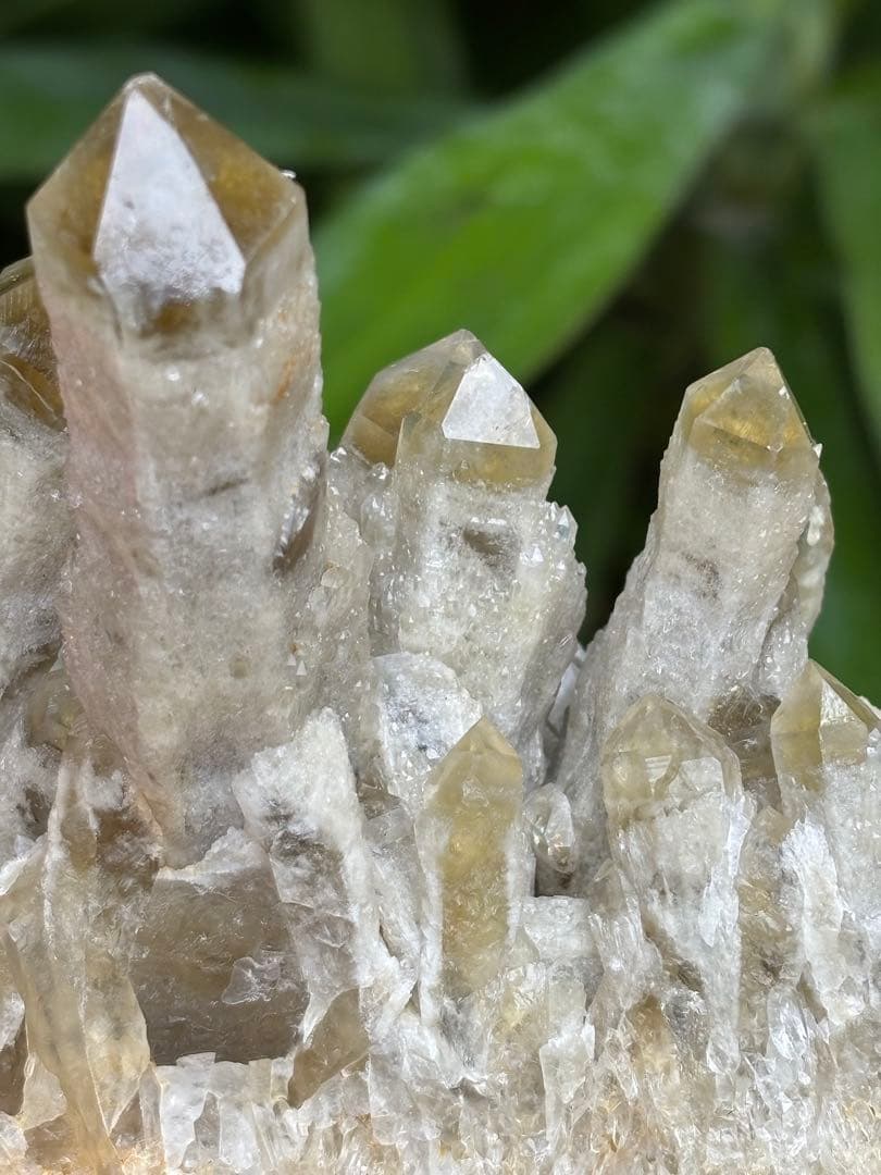 天然シトリン　キャンドルクォーツ　クラスター　367g かわいい　自立します