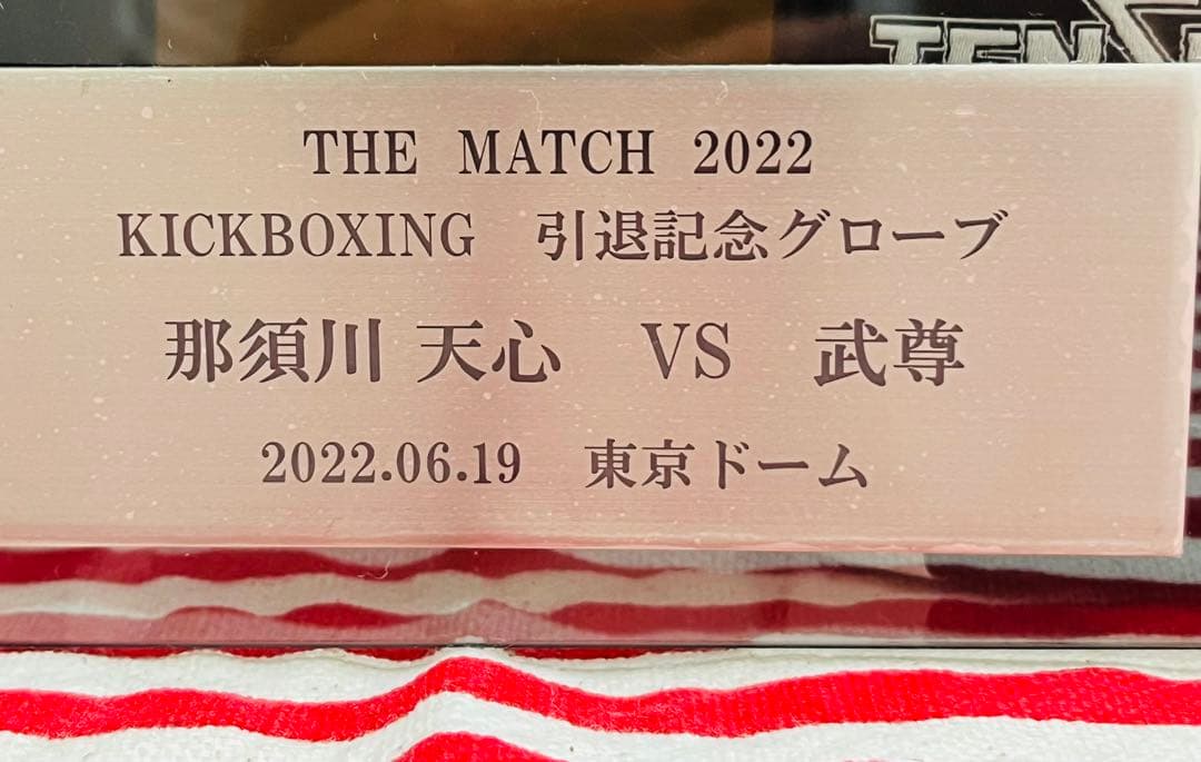 TEN THOUSAND 引退記念グローブ 那須川天心 VS 武尊