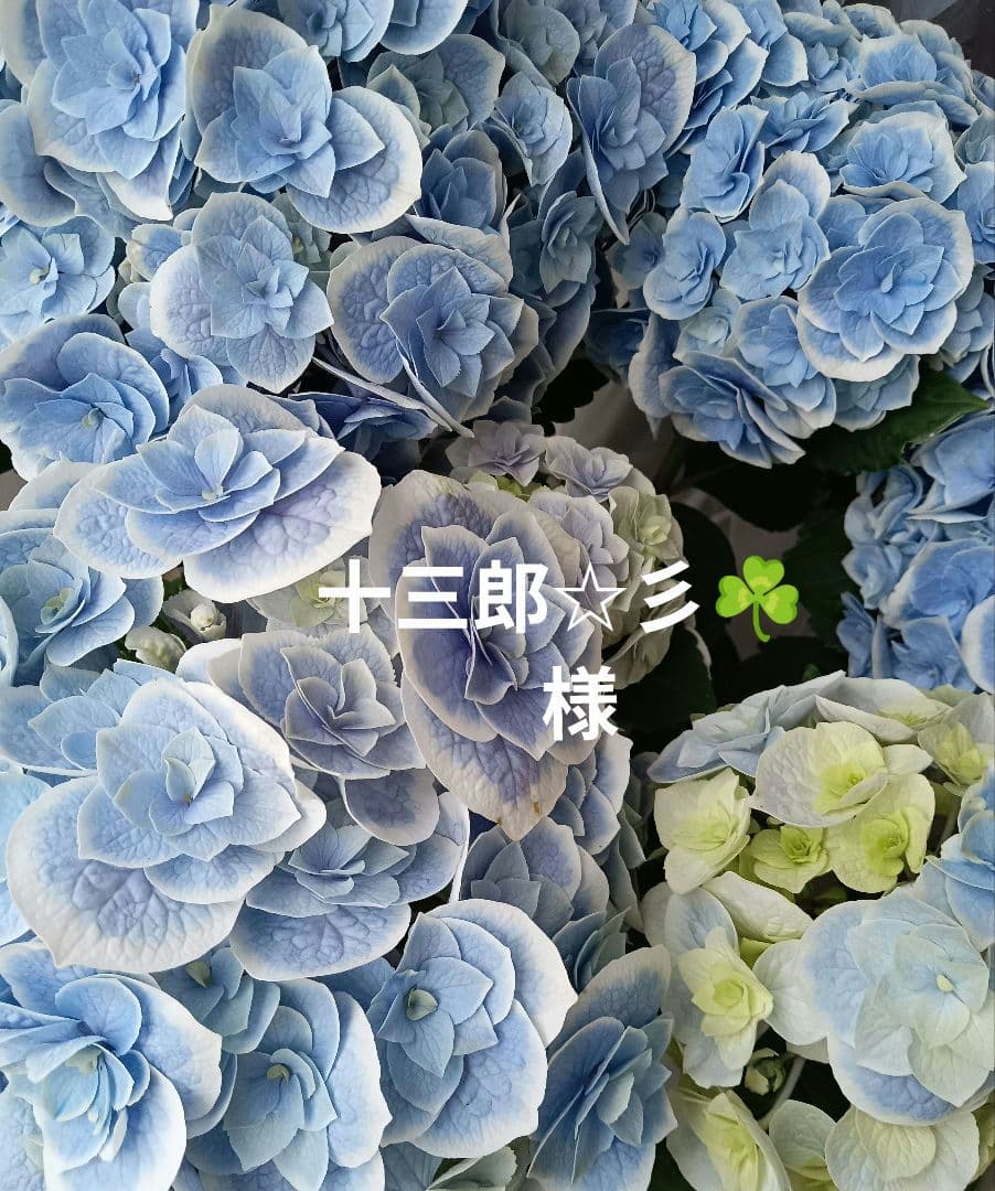 十三郎☆彡☘️ページ•*¨*•.¸♬︎