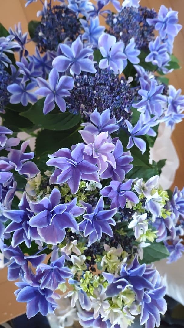 十三郎☆彡☘️ページ•*¨*•.¸♬︎