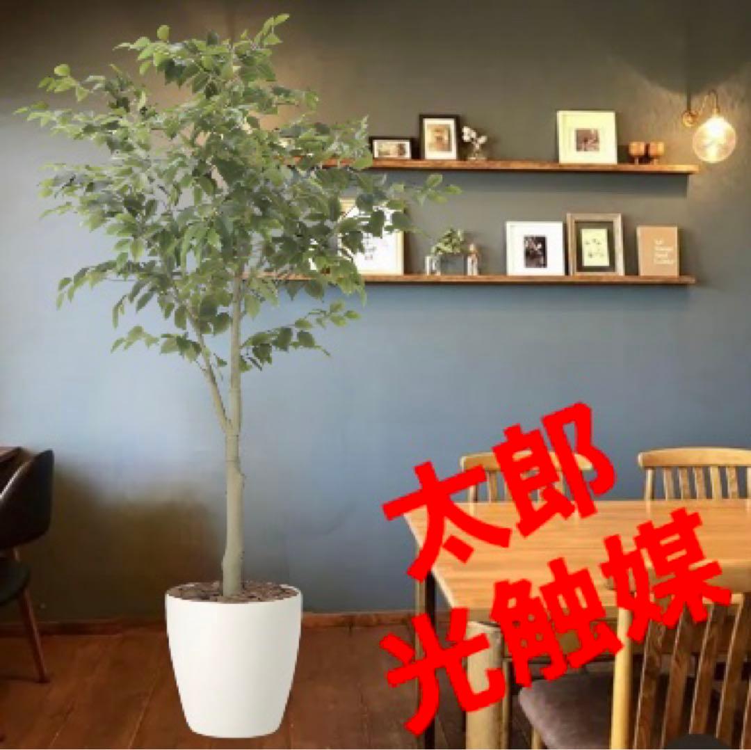 光触媒　人工観葉植物　ウォールグリーン　フェイクグリーン　フィカスツリー1.85