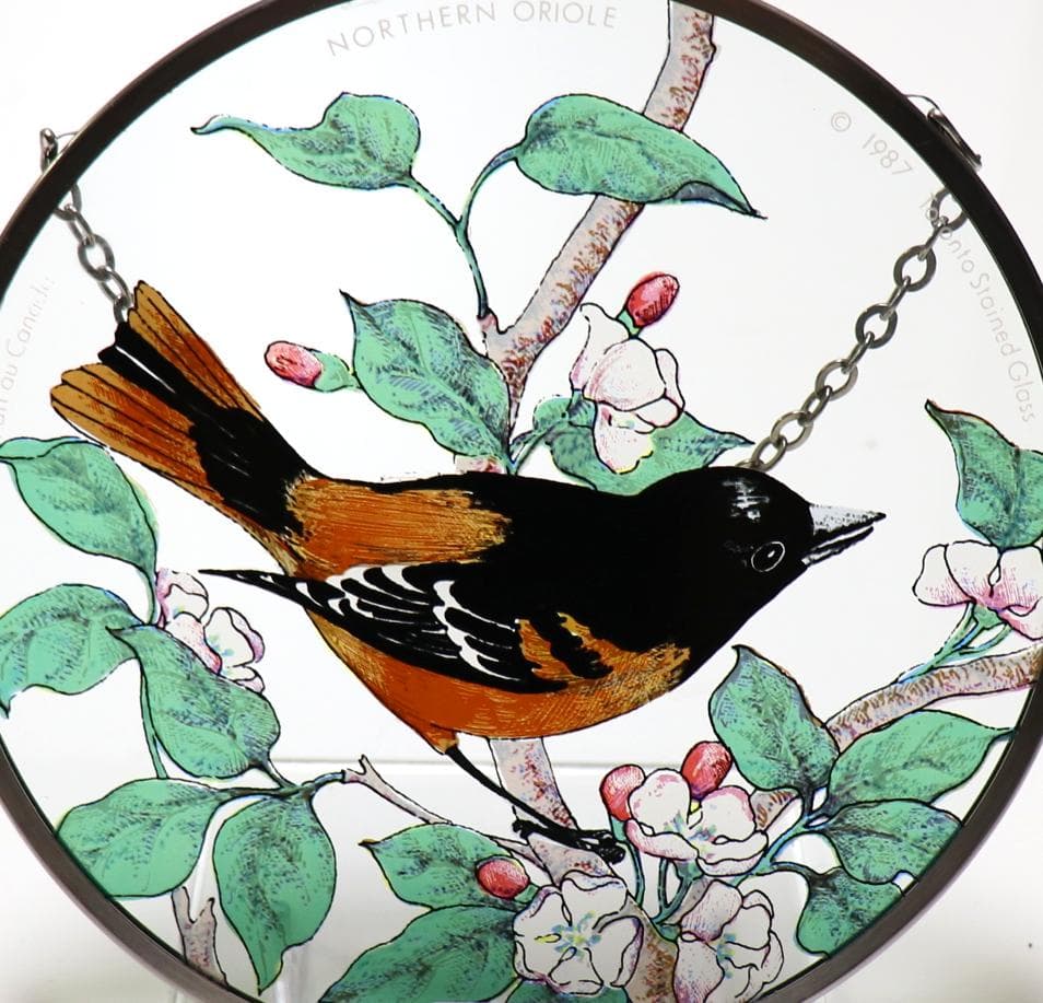 ボルチモアムクドリモドキ ヴィンテージ ステンドグラス トロント カナダ 鳥