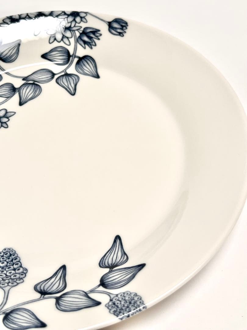 Arabiaアラビア ルノサマーレイ、ウィンタースター プレート2枚組26cm