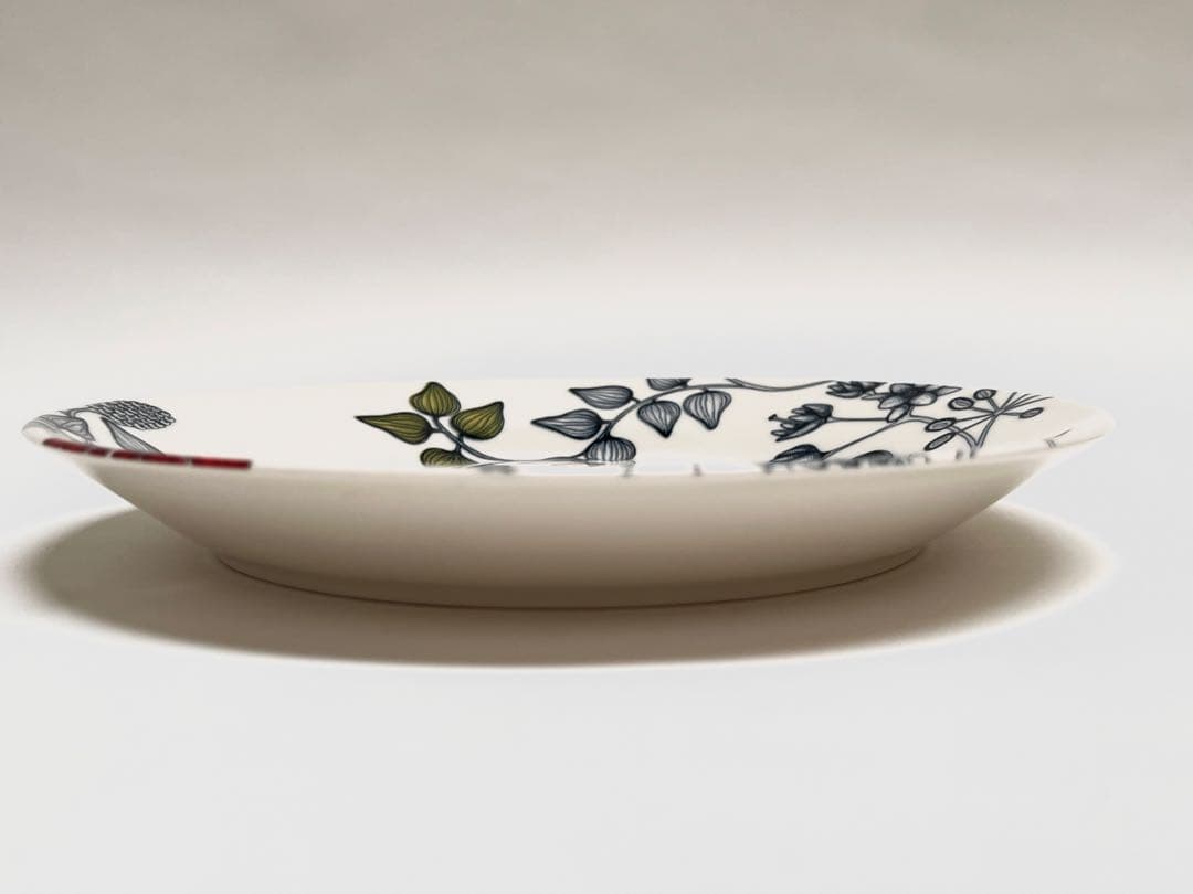 Arabiaアラビア ルノサマーレイ、ウィンタースター プレート2枚組26cm