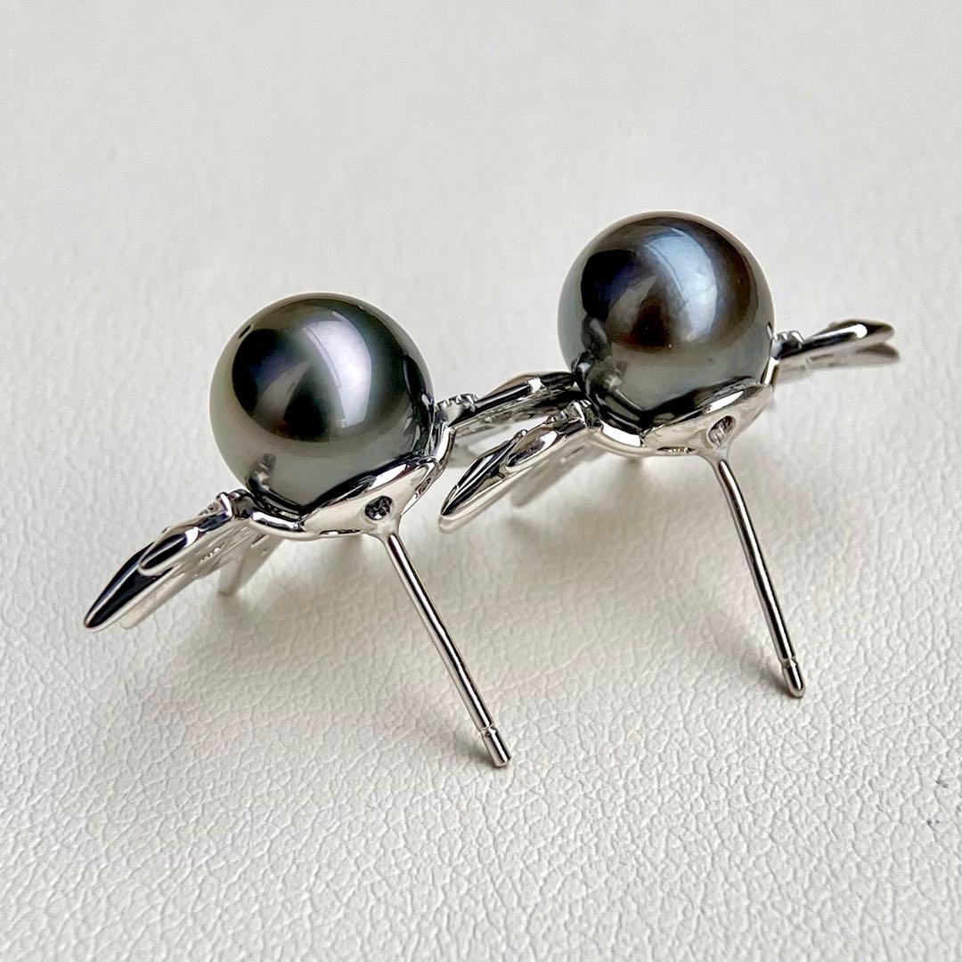 本真珠南洋黒蝶真珠グリーンブルー8.9㍉s925ピアスBL935