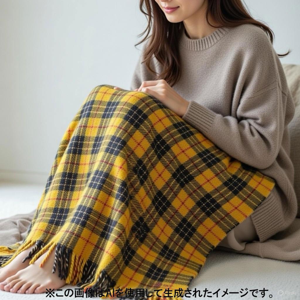 【入手困難】エルメス ひざ掛け ブランケット タータンチェック ウール 2M66