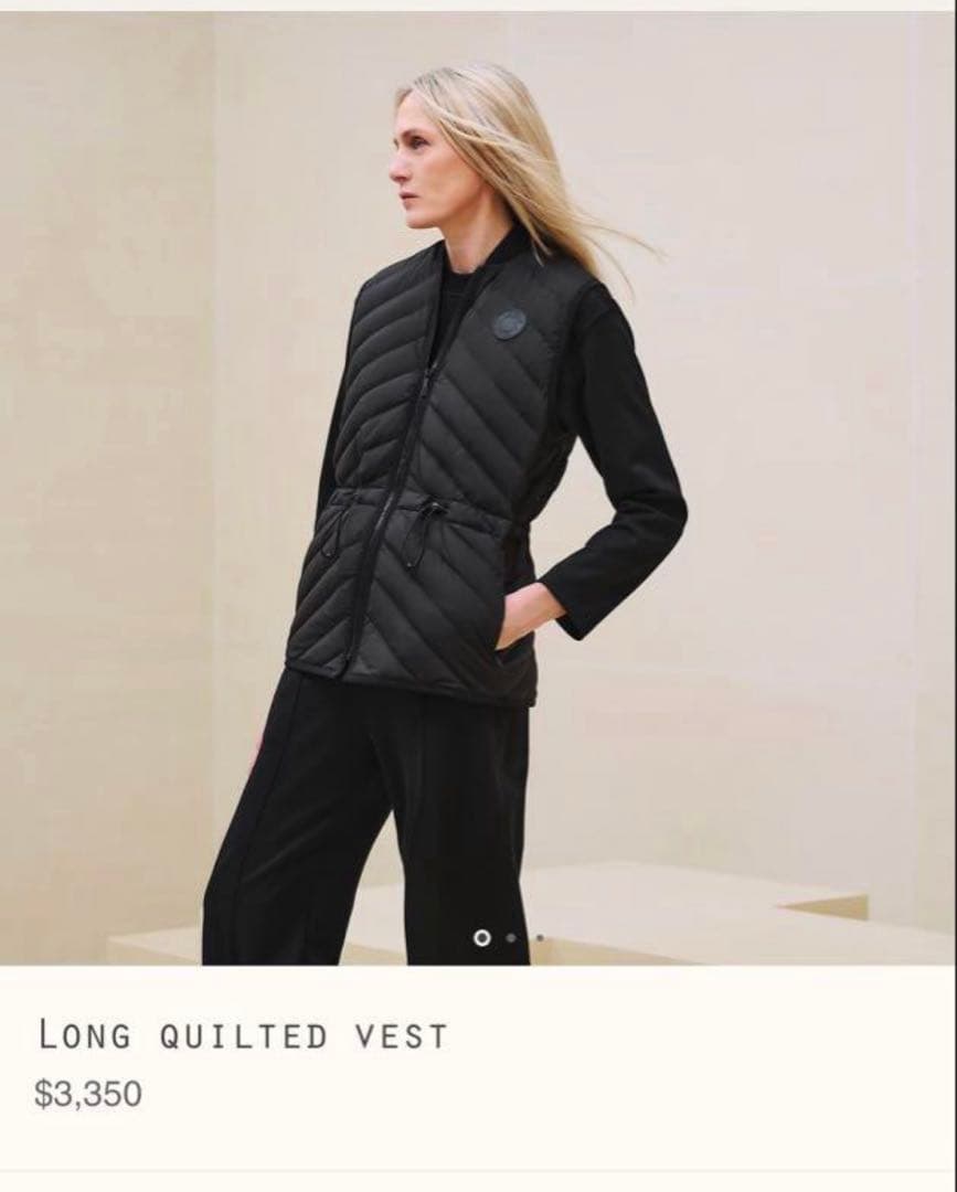 新品未使用 エルメス スリーブダウンジャケット 36