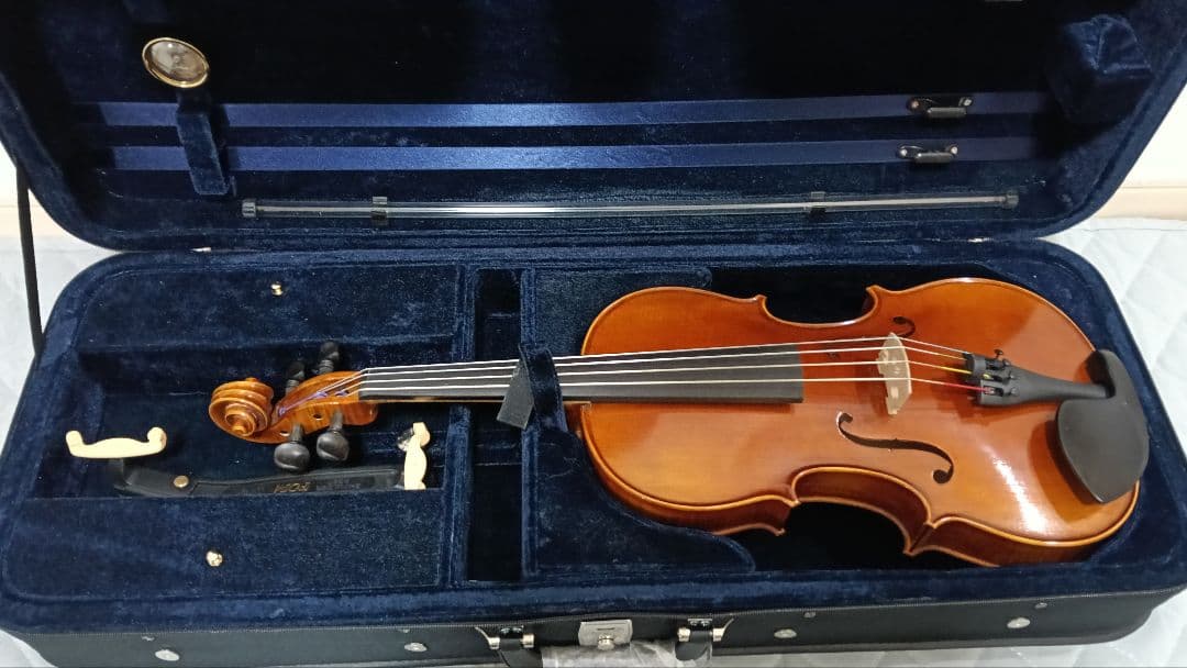 ビオラケース（新品·未使用品）