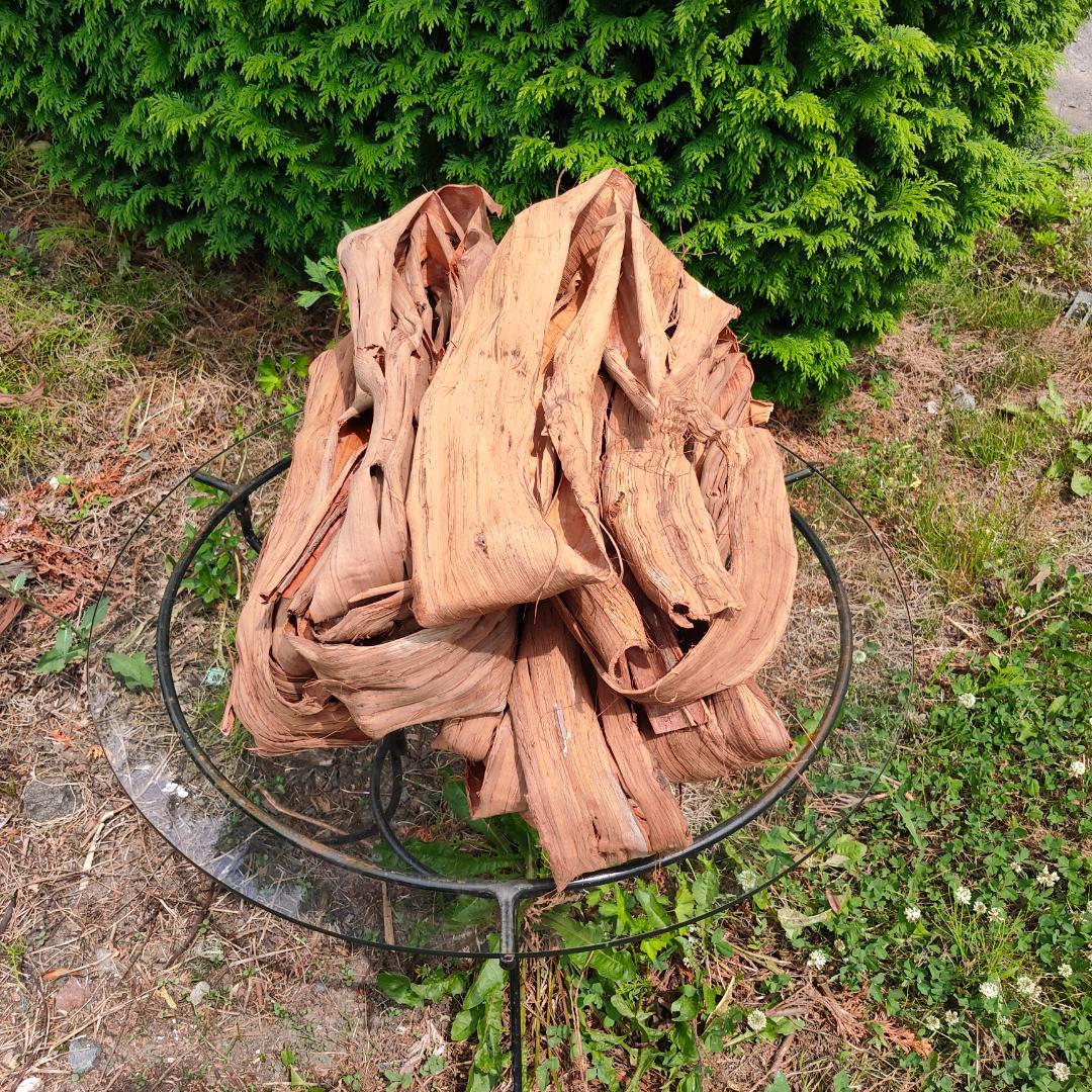 青森岩木山産 山葡萄 皮 樹皮 約2kg