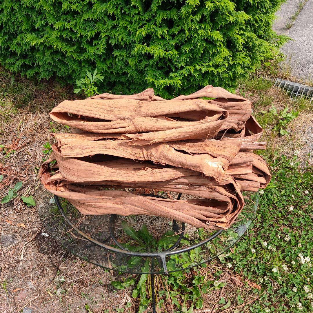 青森岩木山産 山葡萄 皮 樹皮 約2kg