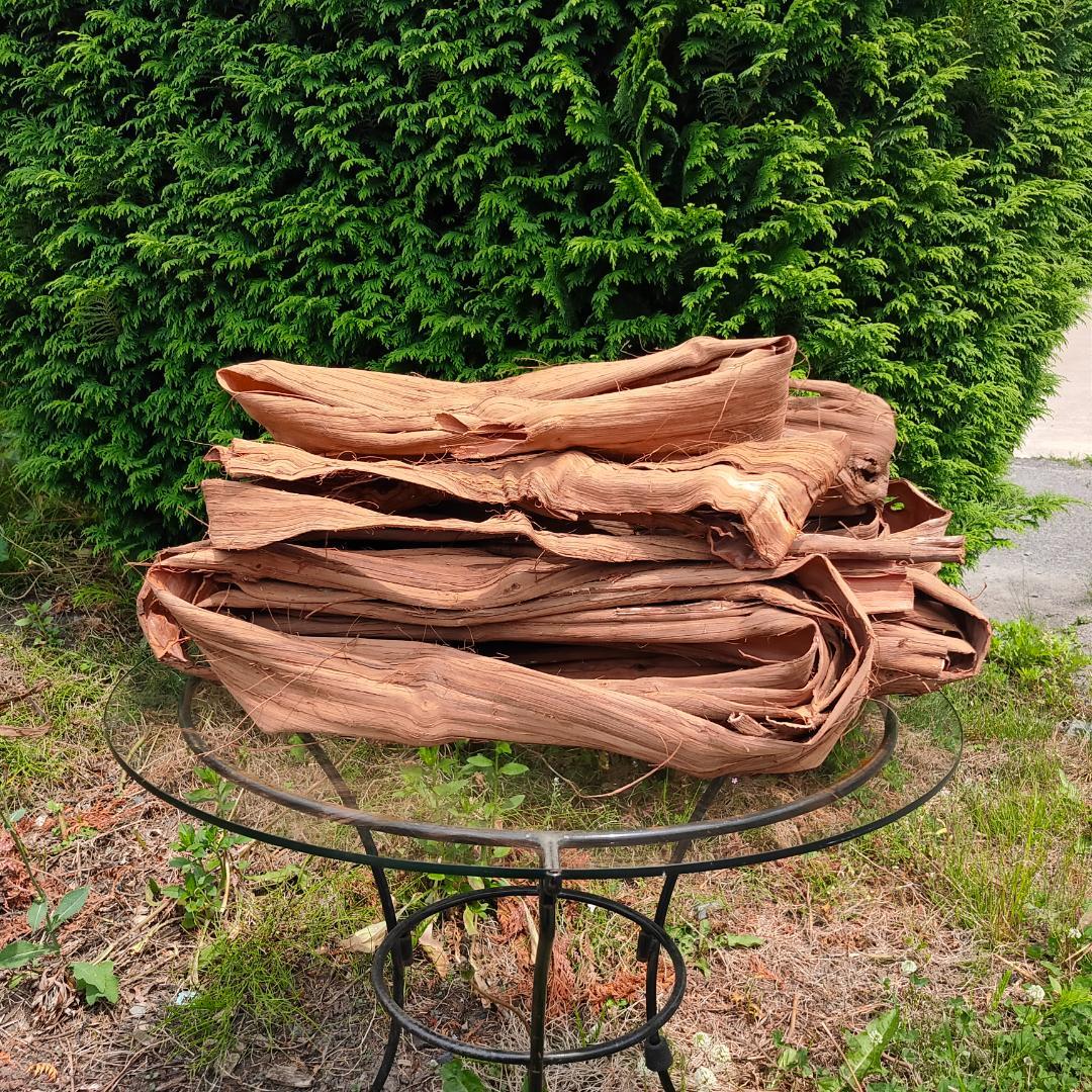 青森岩木山産 山葡萄 皮 樹皮 約2kg