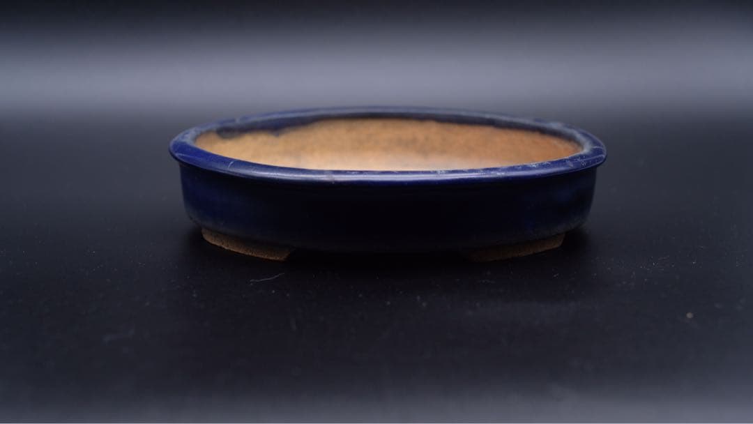 市川苔州　盆栽鉢　瑠璃楕円