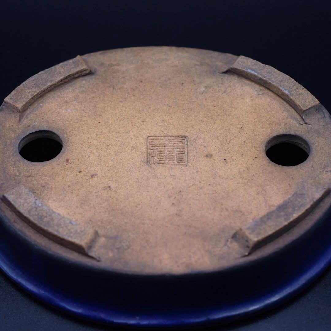 市川苔州　盆栽鉢　瑠璃楕円