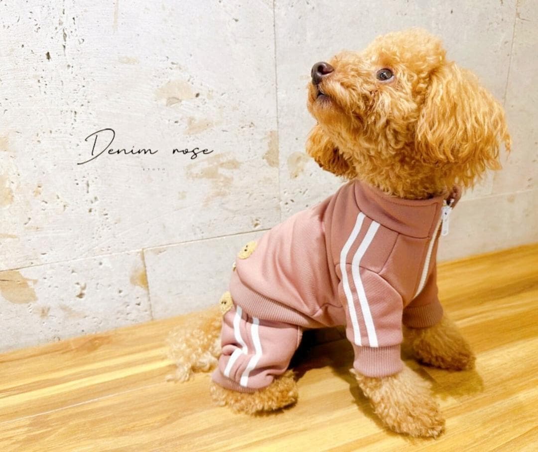 DENIM ROSE ワッペンジャージジャケット