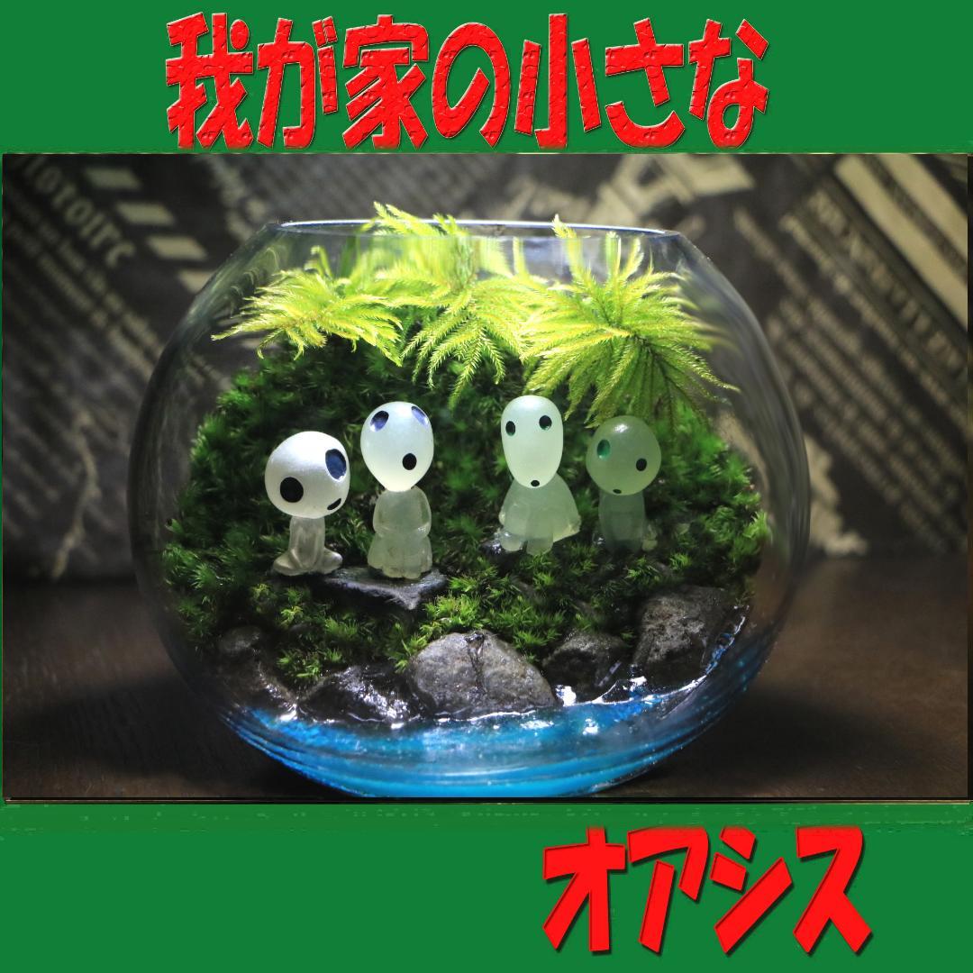 苔テラリウム　オーダー品受け付 販売中　和み　我が家の小さなオアシス