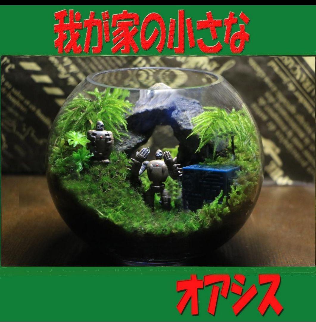 苔テラリウム　オーダー品受け付 販売中　和み　我が家の小さなオアシス