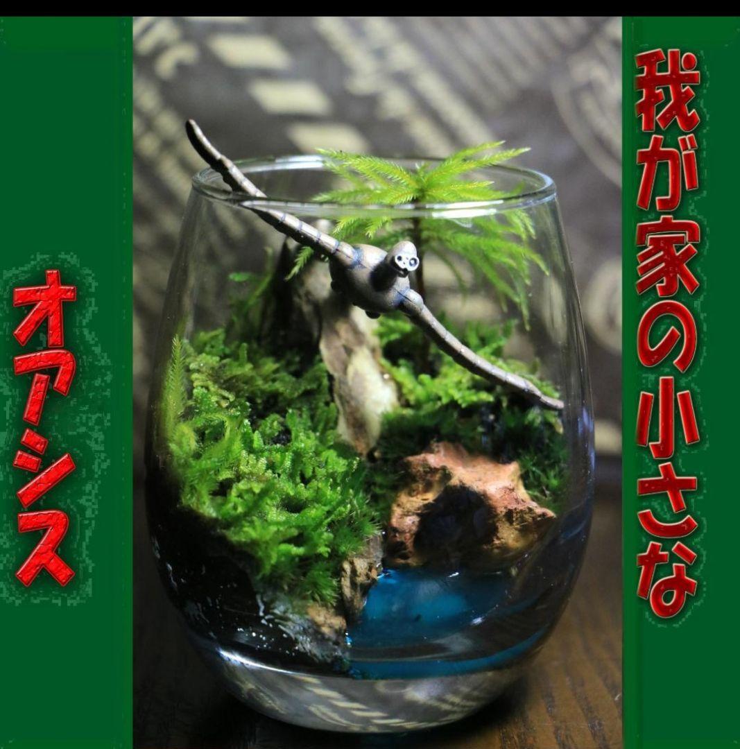 苔テラリウム　オーダー品受け付 販売中　和み　我が家の小さなオアシス