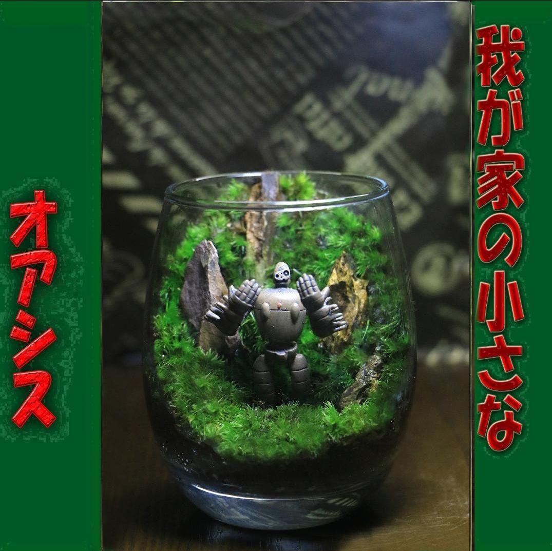 苔テラリウム　オーダー品受け付 販売中　和み　我が家の小さなオアシス