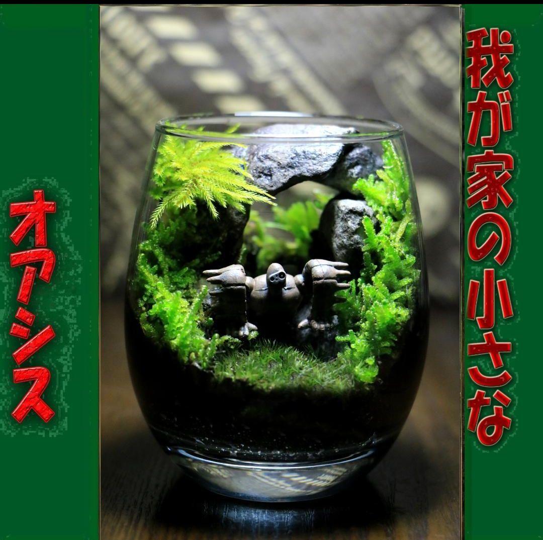 苔テラリウム　オーダー品受け付 販売中　和み　我が家の小さなオアシス