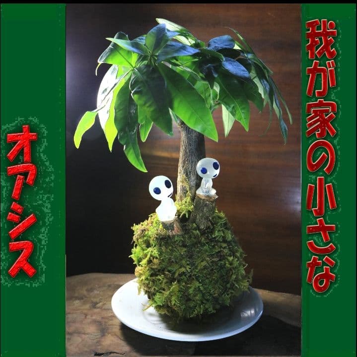 苔テラリウム　オーダー品受け付 販売中　和み　我が家の小さなオアシス