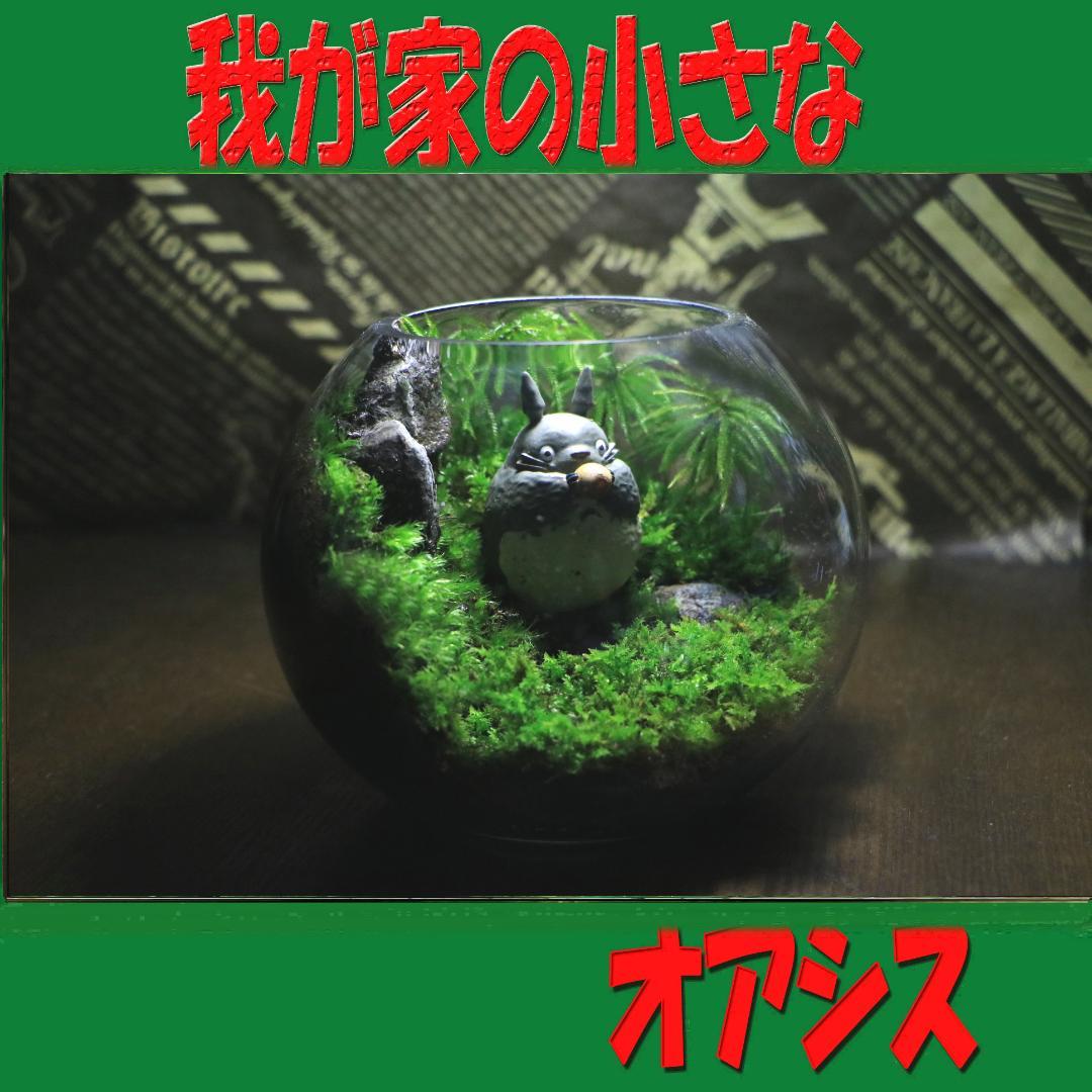 苔テラリウム　オーダー品受け付 販売中　和み　我が家の小さなオアシス