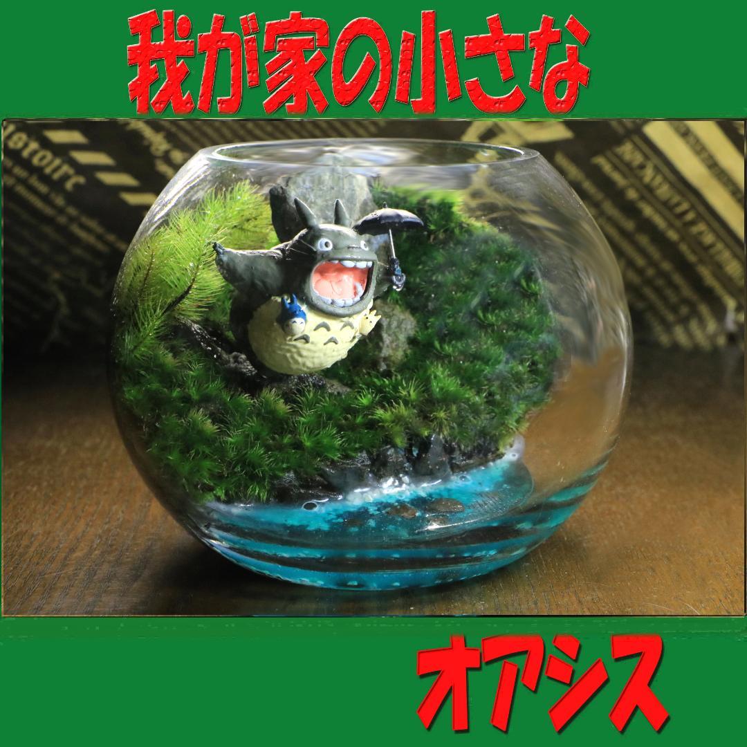 苔テラリウム　オーダー品受け付 販売中　和み　我が家の小さなオアシス