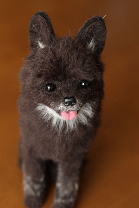 羊毛フェルト　ポメラニアン　ブラック