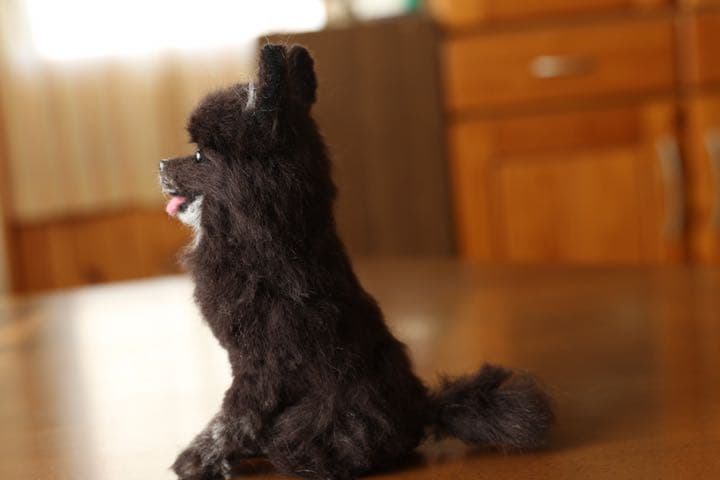 羊毛フェルト　ポメラニアン　ブラック