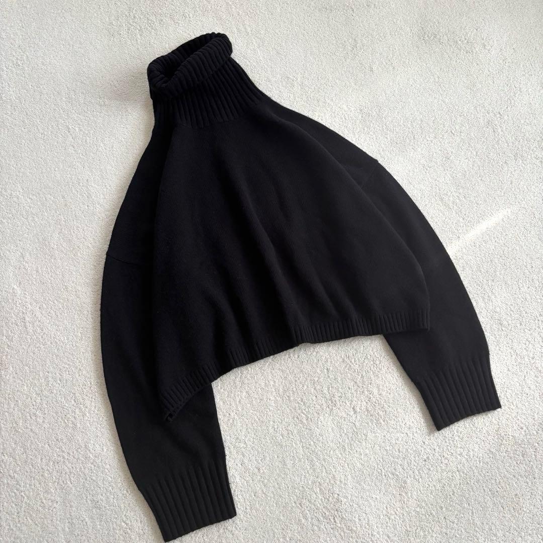 ドゥーズィエムクラス　Cropped タートルネックプルオーバー　クリーニング済