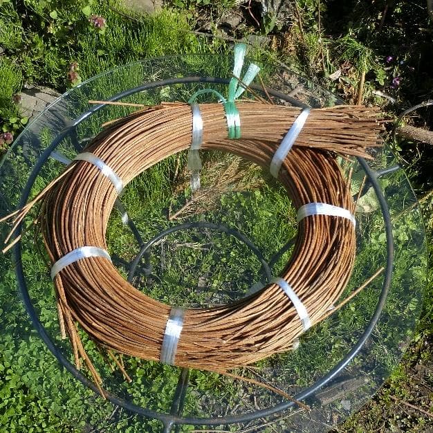 青森岩木山採取　あけび蔓　150cm～ 1.5kg