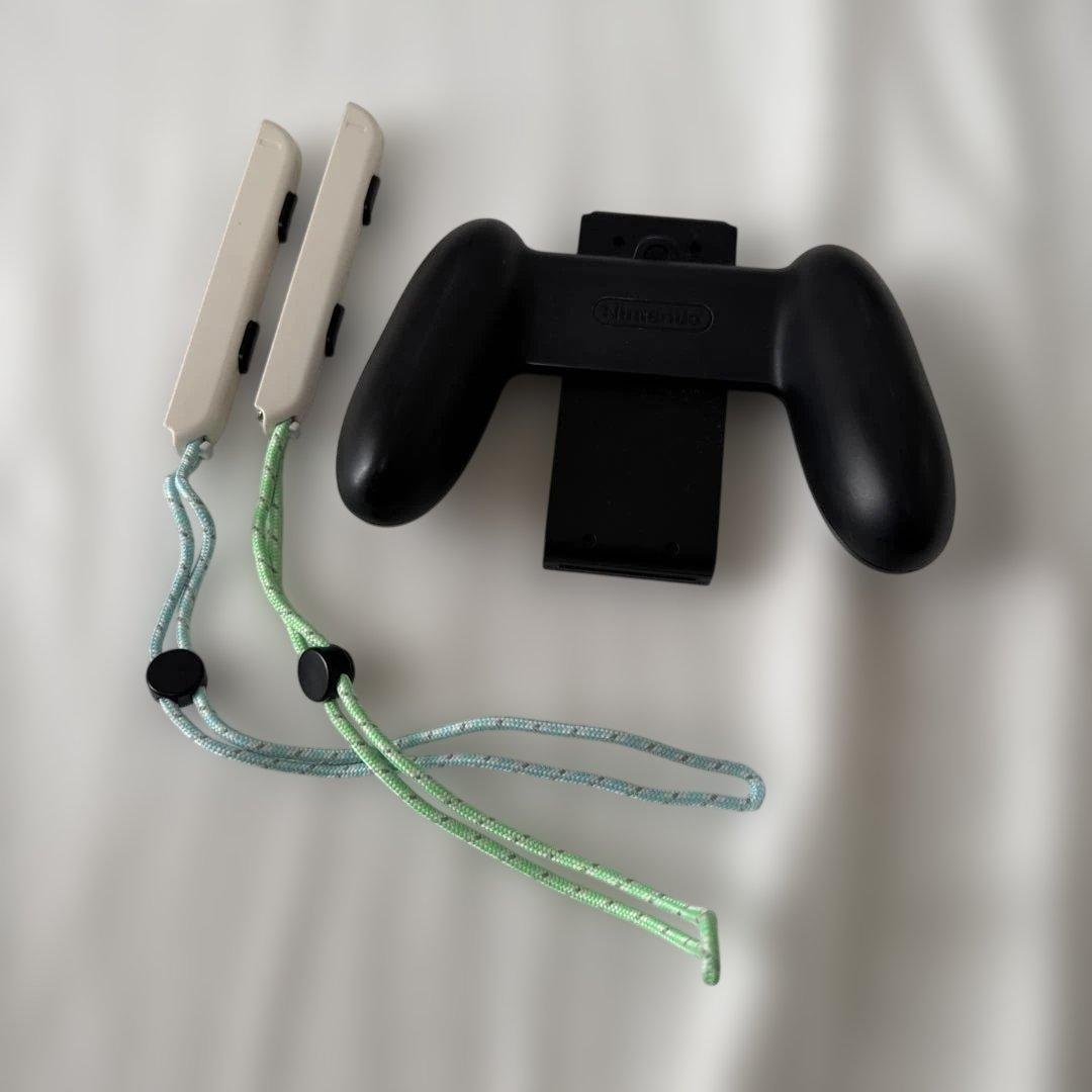 Nintendo Switch あつまれどうぶつの森版 本体セット ケース付