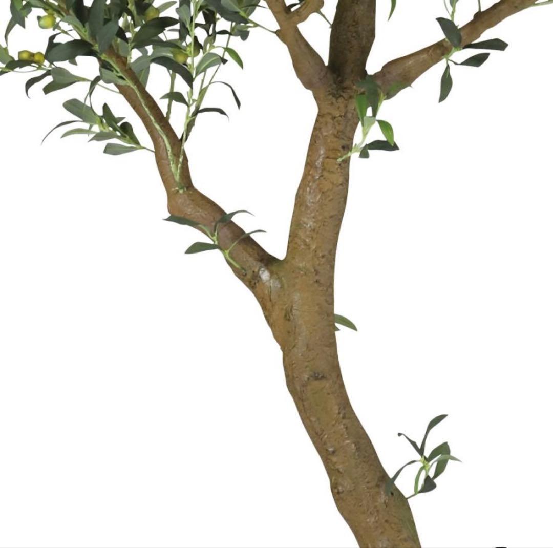 光触媒　人工観葉植物　ウォールグリーン　フェイクグリーン　ブラックオリーブ鉢付き