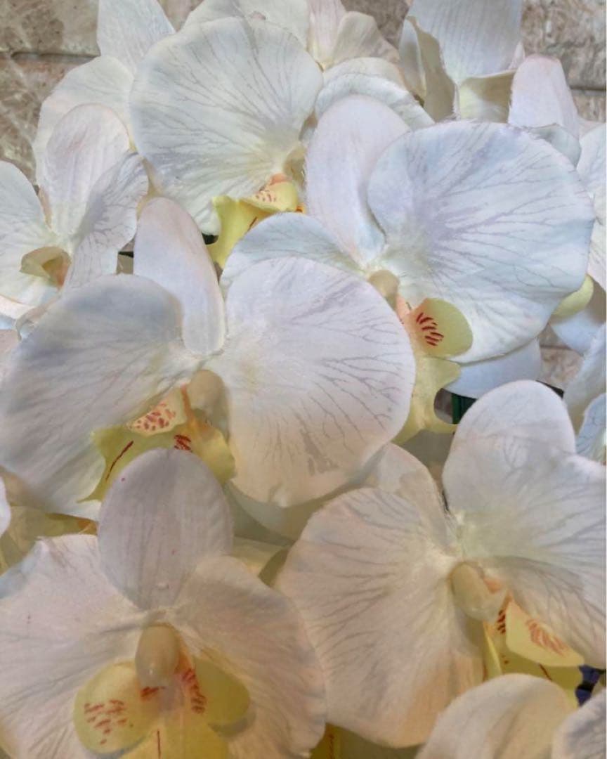 光触媒　人工観葉植物　ウォールグリーン　フェイクグリーン　胡蝶蘭7545