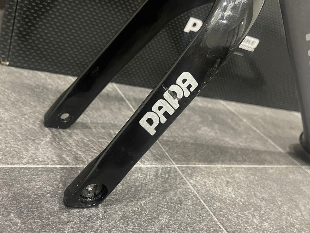 PAPABIKE TESLA パパバイク　テスラ　カーボンフレーム